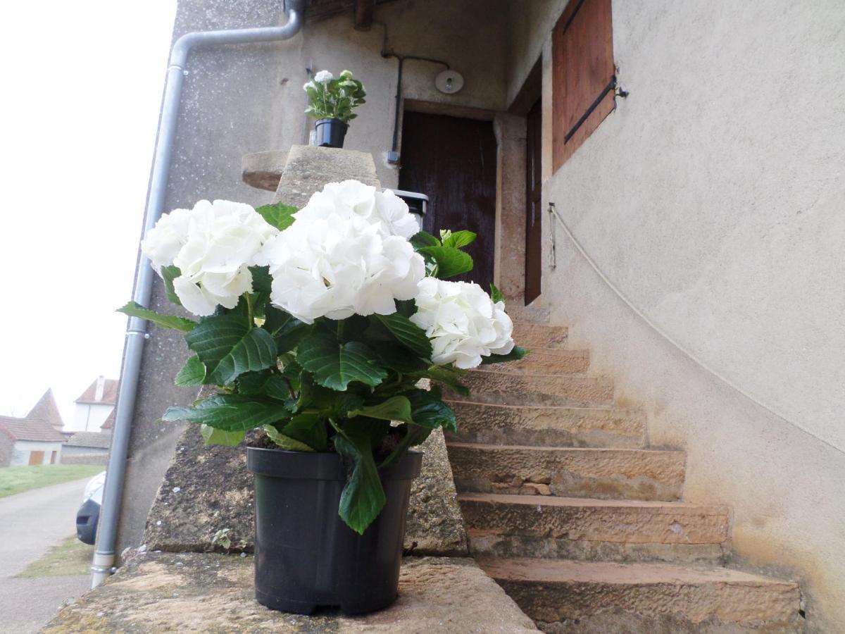 Bed and Breakfast Les Marronniers La Chapelle-sous-Brancion Exteriér fotografie